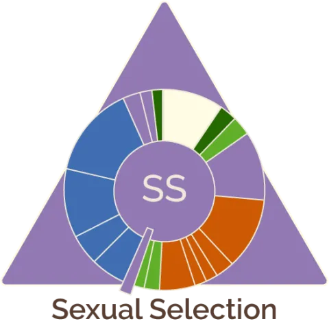 Sexual Selection